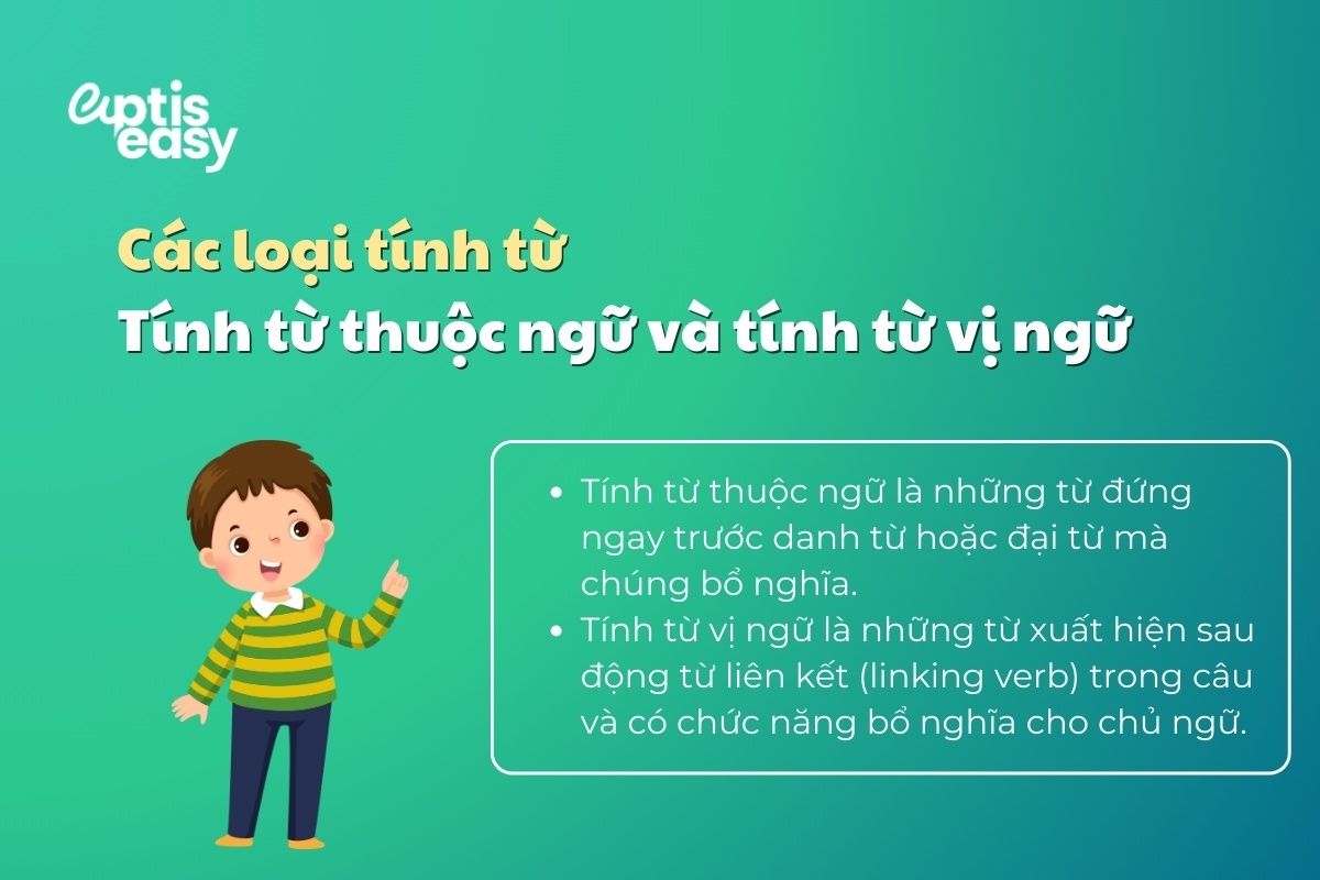tinh-tu-thuoc-ngu-tinh-tu-vi-ngu