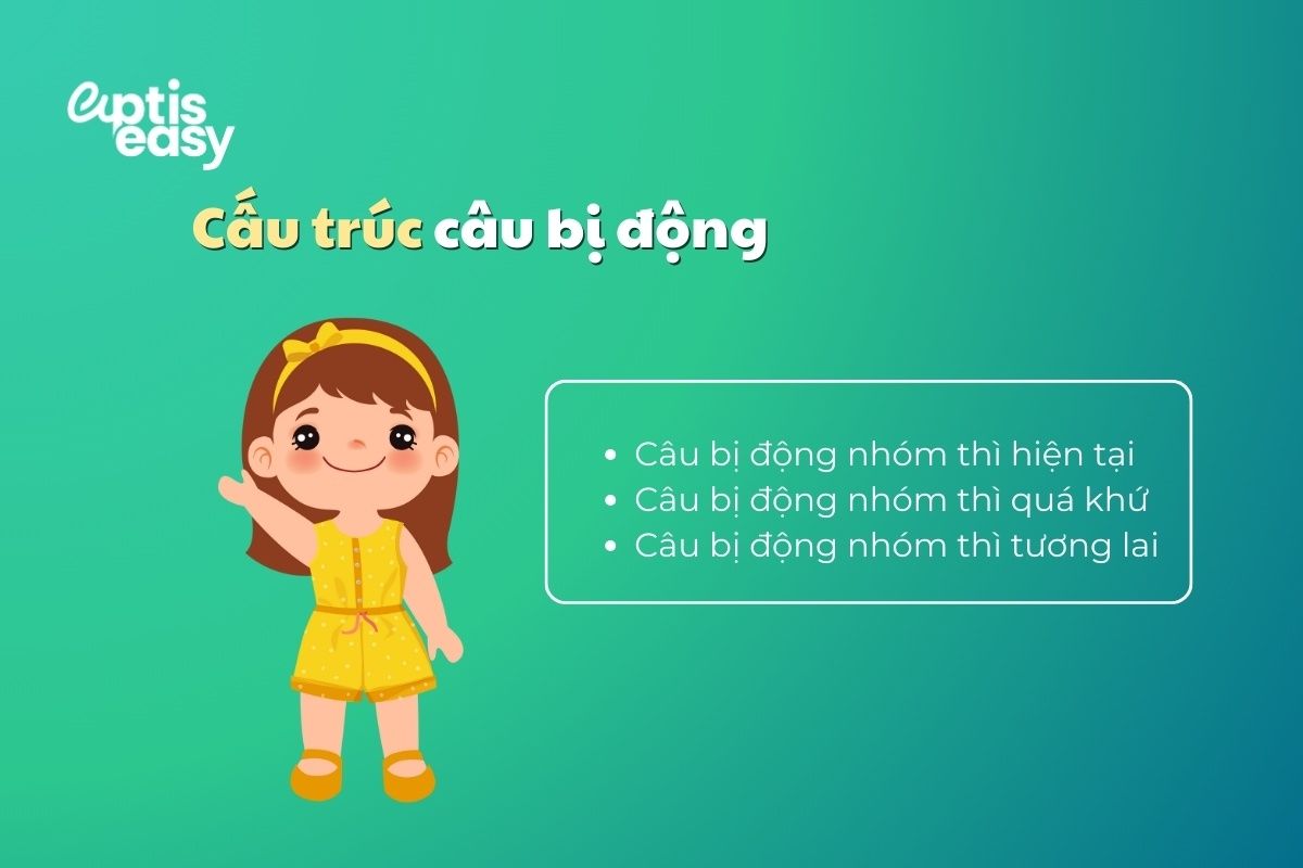 cau-truc-cau-bi-dong