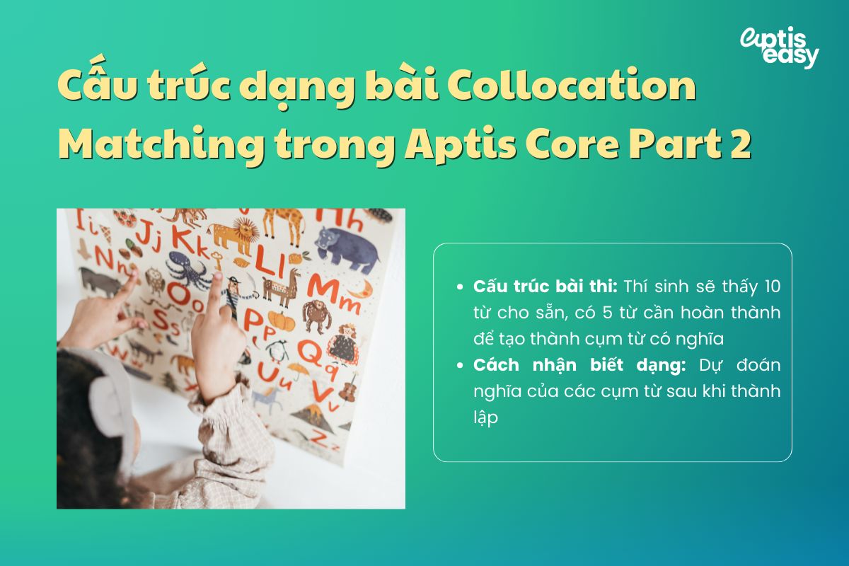 Cấu trúc dạng bài Collocation Matching trong Aptis Core Part 2