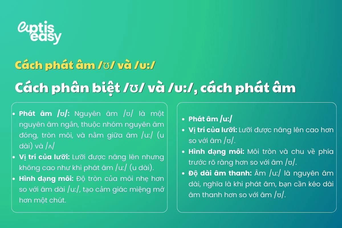 Cách phát âm u ngắn u dài