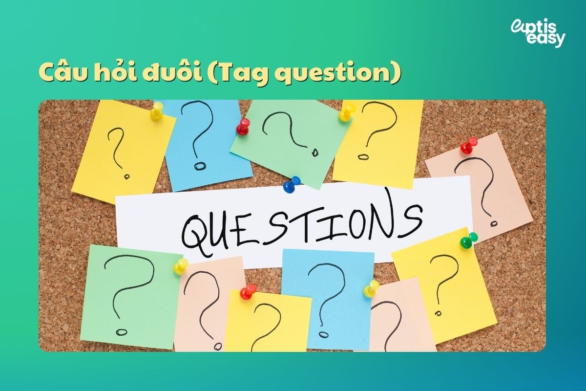 Câu hỏi đuôi (Tag question)