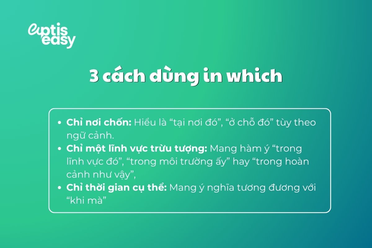 cach-dung-in-which
