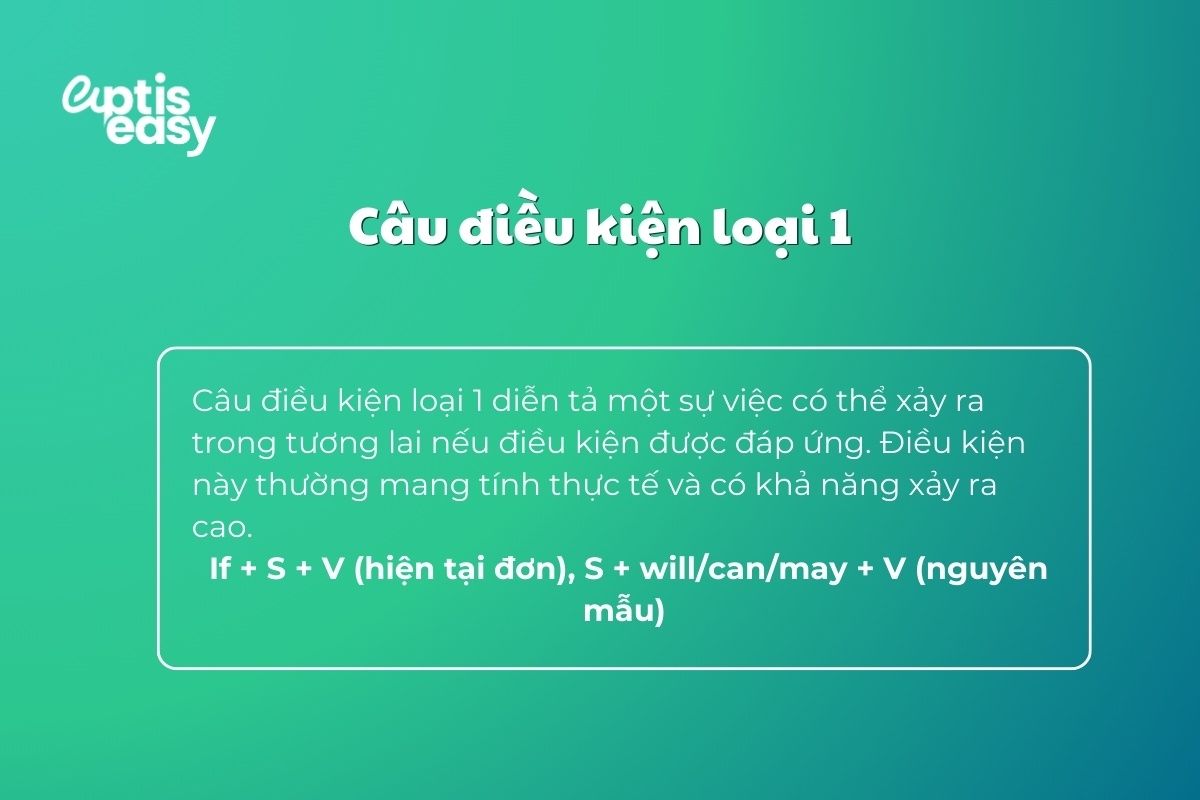 cau-dieu-kien-loai-1