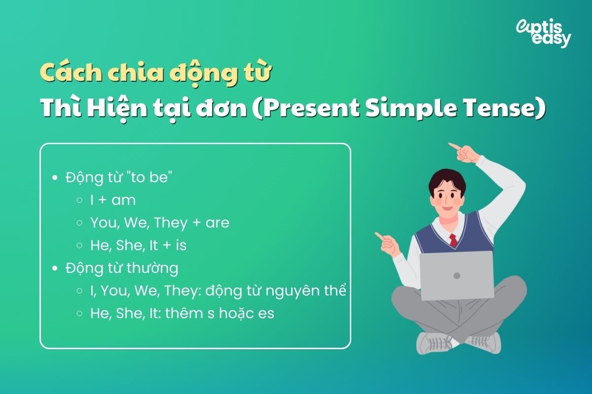 Cách chia động từ ở thì Hiện tại đơn