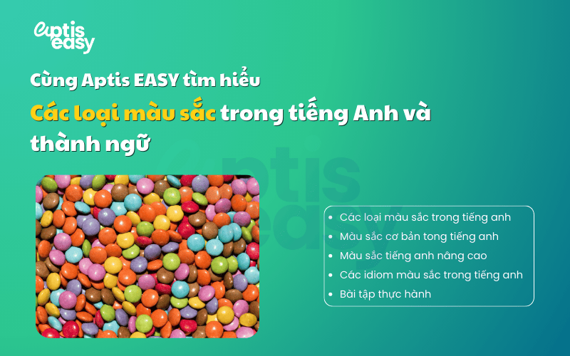 Các loại màu trong tiếng anh, thành ngữ và bài tập thực hành