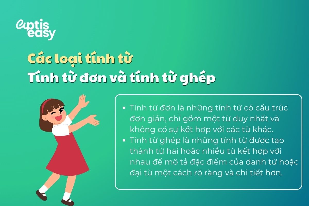 tinh-tu-don-tinh-tu-ghep
