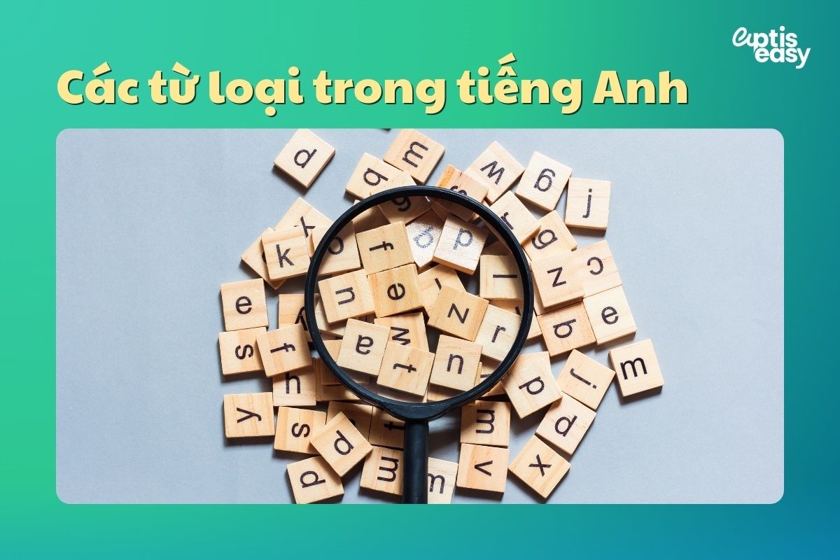 Các từ loại trong tiếng Anh