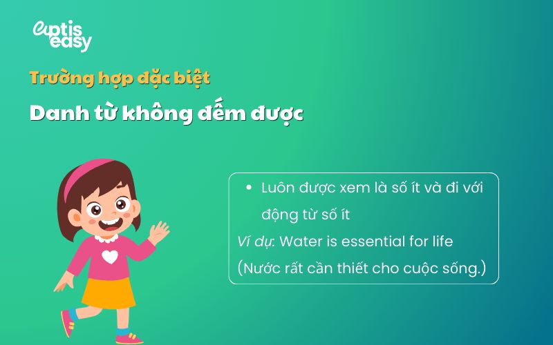 Danh từ không đếm được (Uncountable nouns)