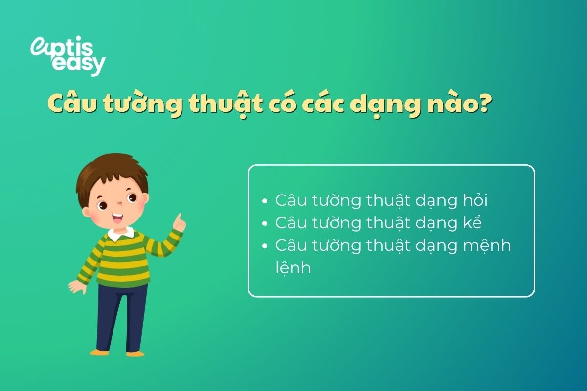 cau-tuong-thuat-co-cac-dang-dac-biet-nao