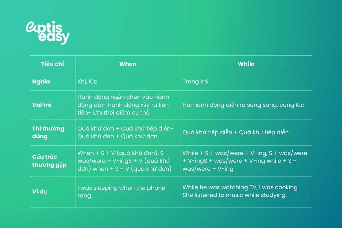 su-khac-nhau-giua-while-when