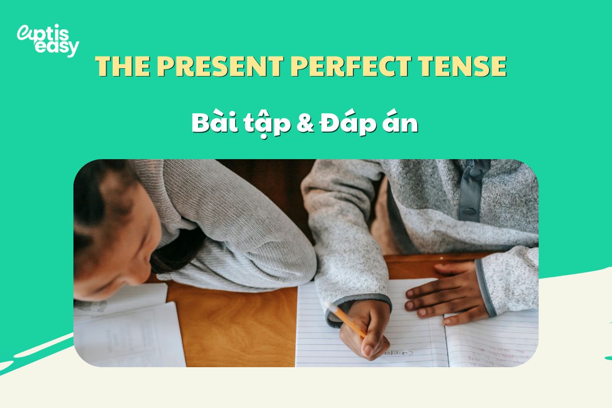 Bài tập thực hành thì hiện tại hoàn thành