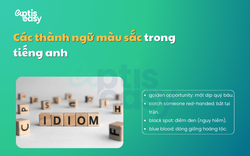 cac-thanh-ngu-mau-sac