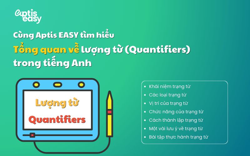Tổng quan về lượng từ trong tiếng Anh, khái niệm và cách sử dụng