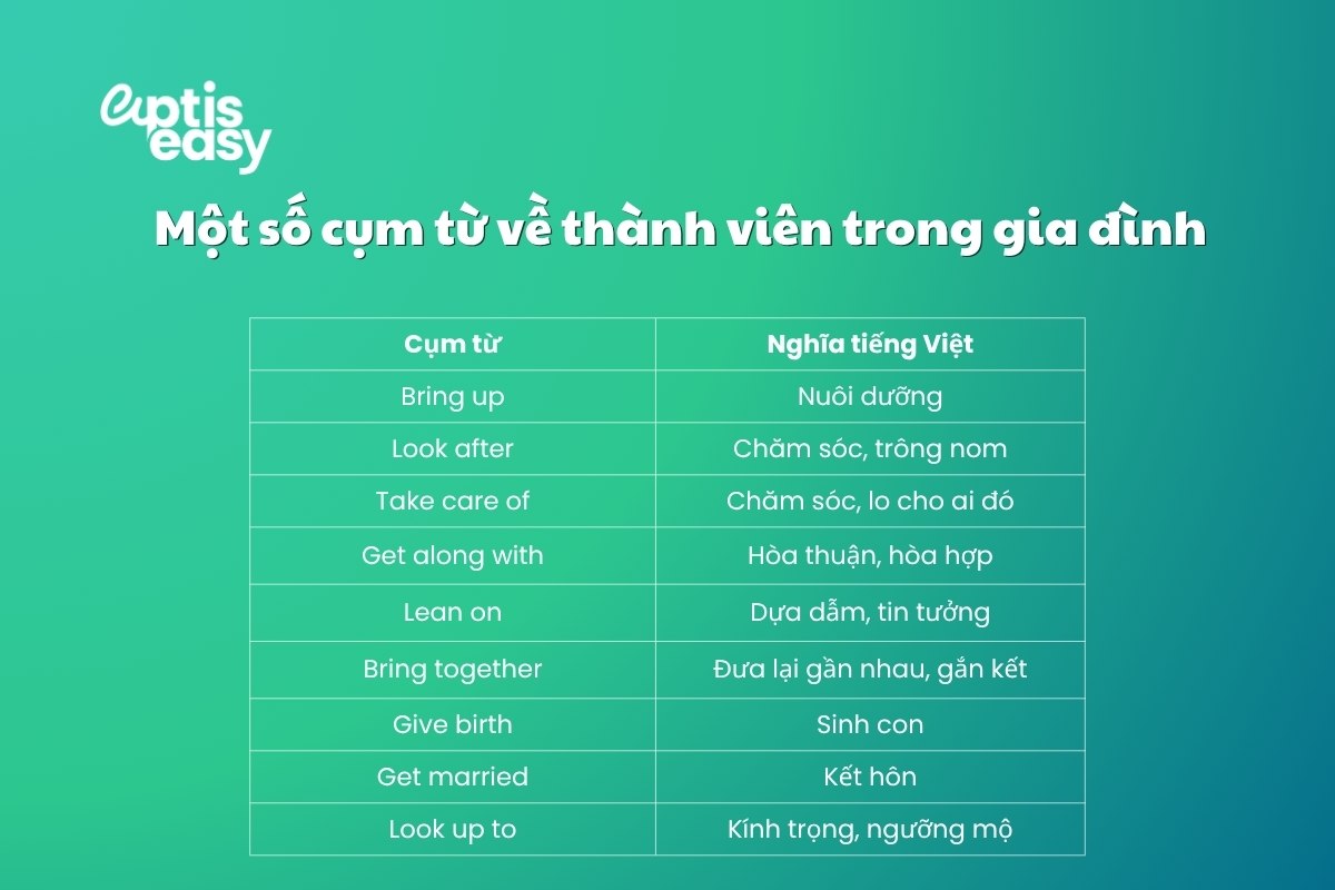 mot-so-cum-tu-ve-thanh-vien-