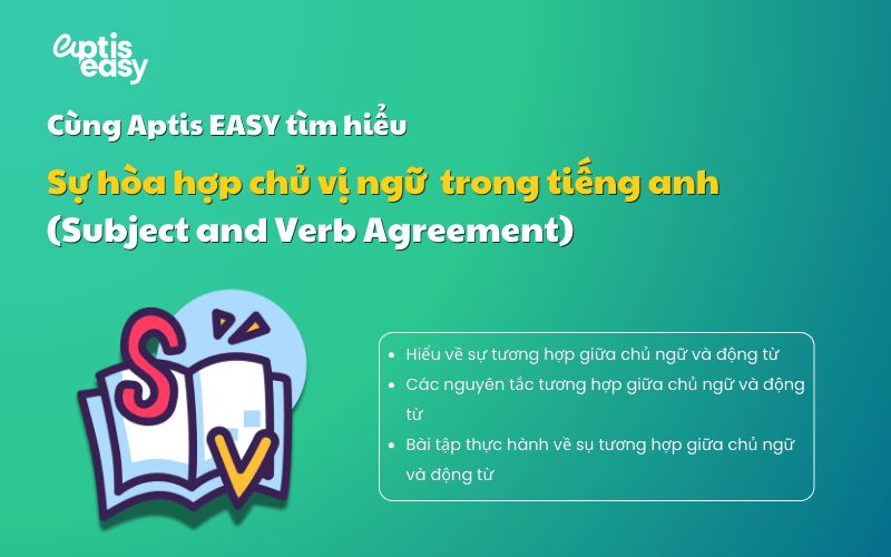 Sự hòa hợp chủ vị: Chinh phục ngữ pháp tiếng anh và bài tập