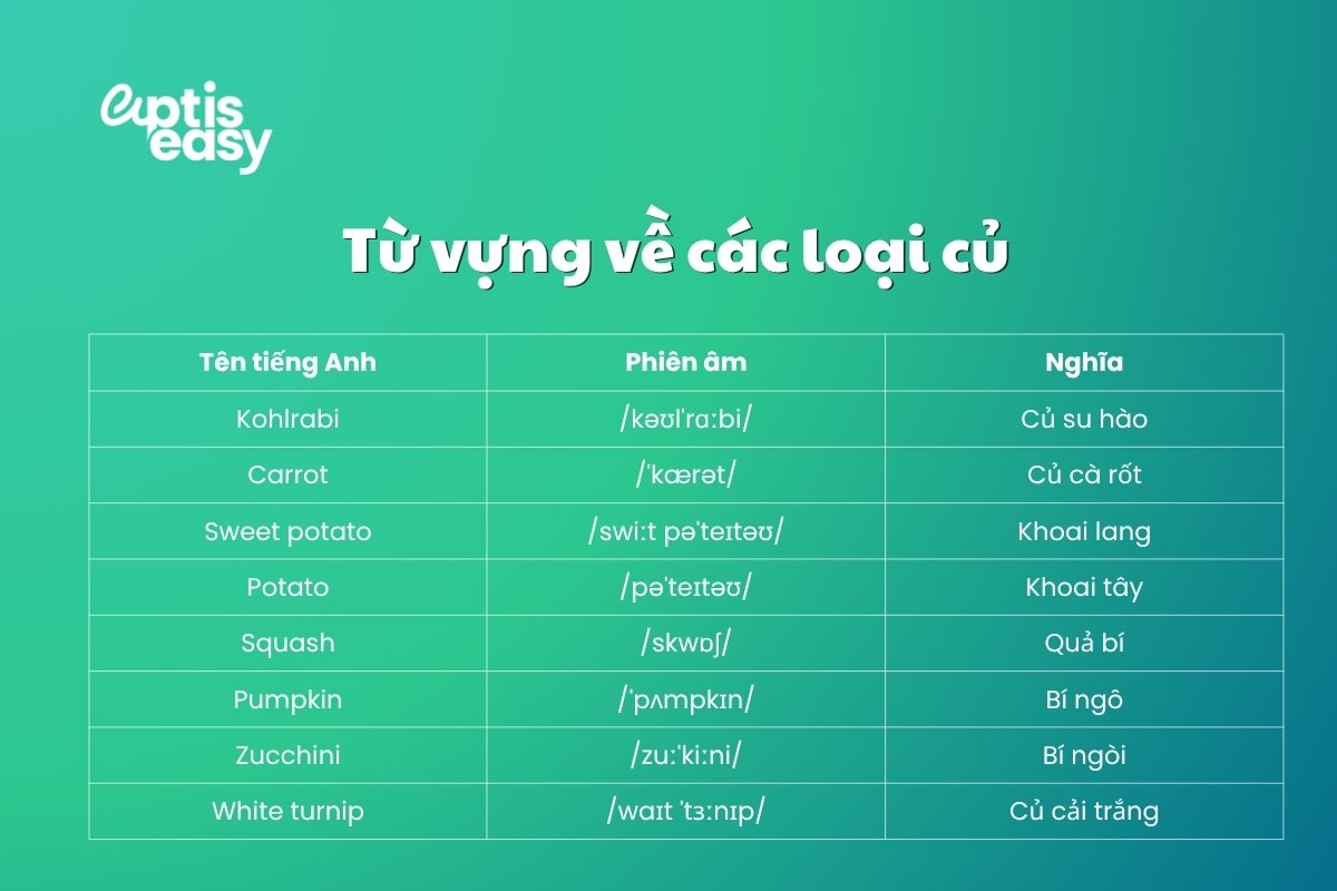 tu-vung-ve-cac-loai-cu