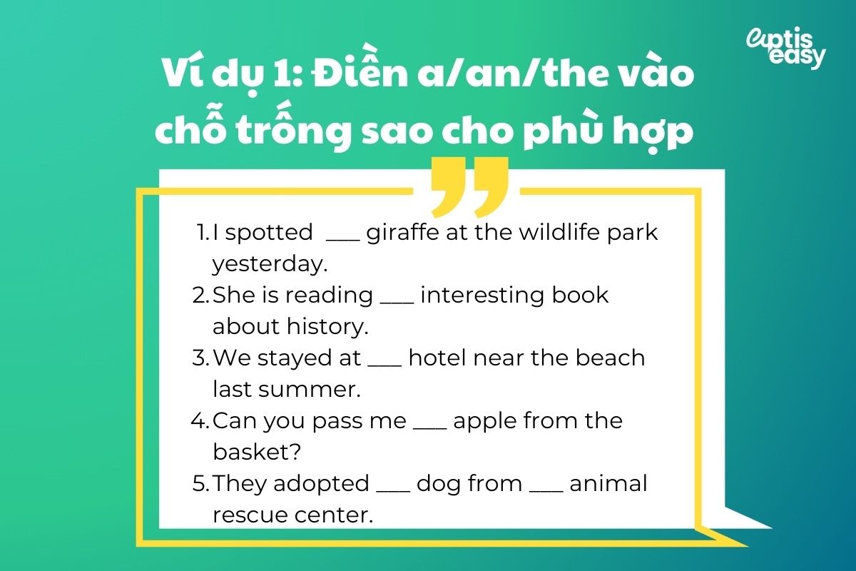 Điền mạo từ a/an/the vào chỗ trống