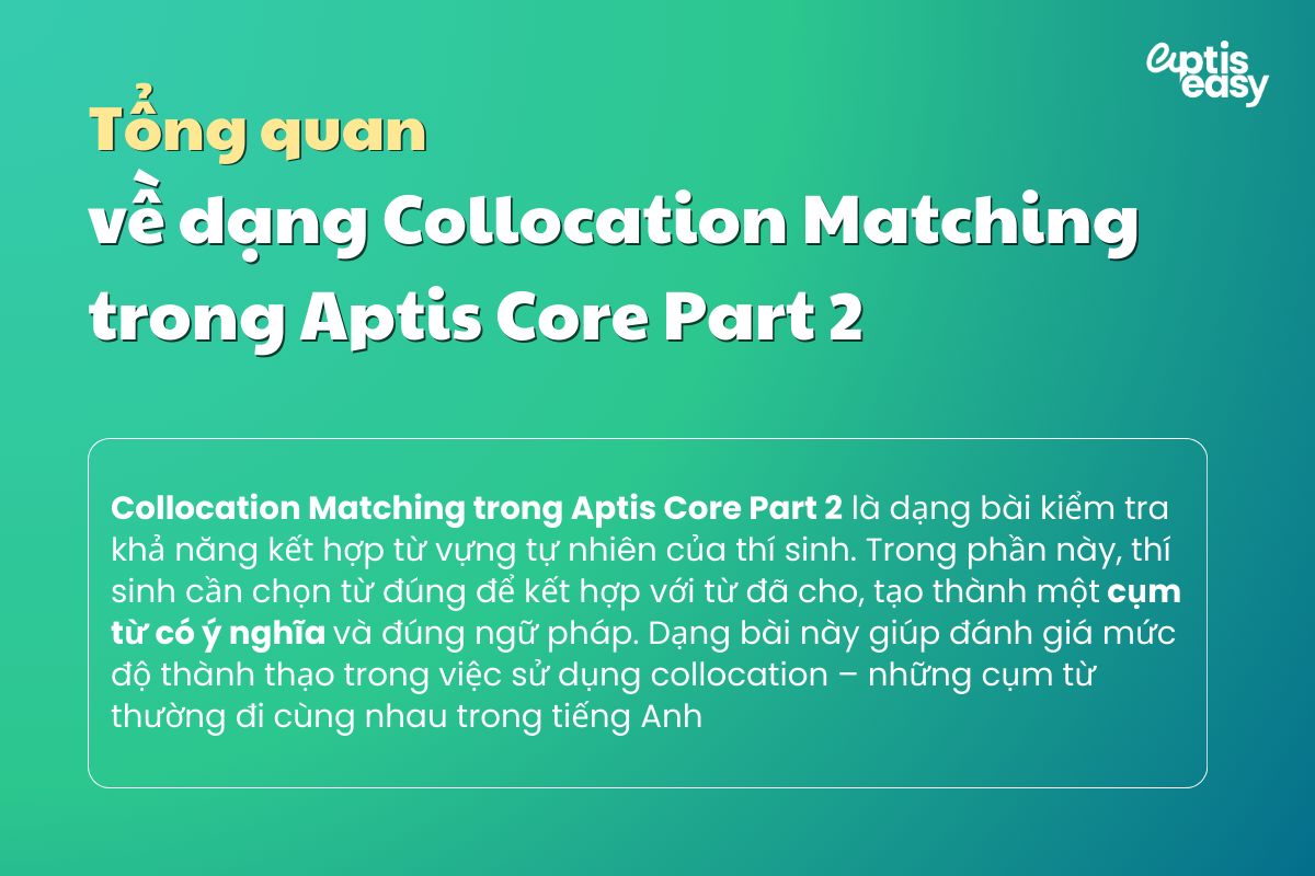 Tổng quan dạng Collocation Matching trong Aptis Vocabulary