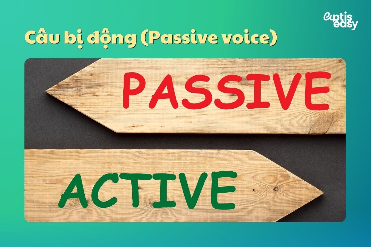 Câu bị động (Passive voice)