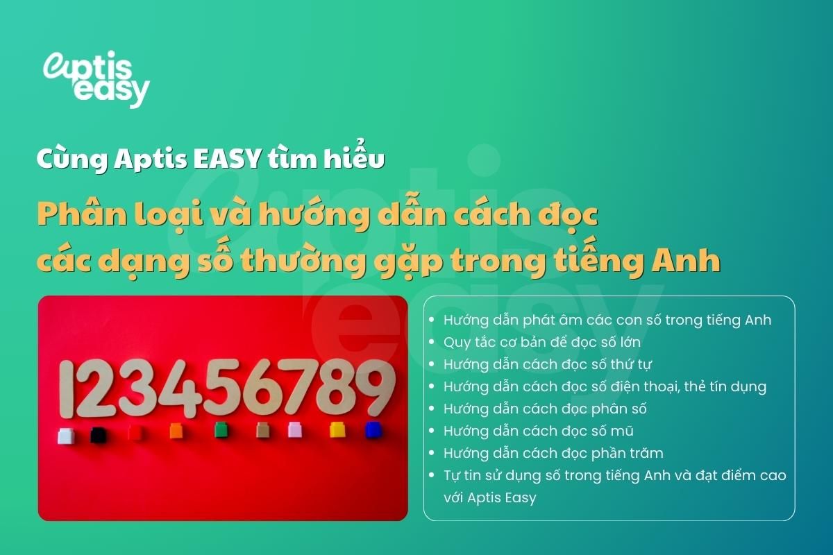 Phân loại và hướng dẫn cách đọc số trong tiếng Anh thường gặp