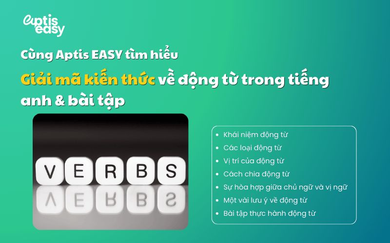 Giải mã kiến thức về động từ trong tiếng anh và bài tập