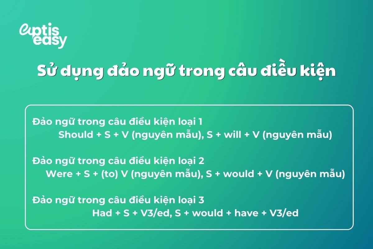 su-dung-dao-ngu-trong-cau-dieu-kien