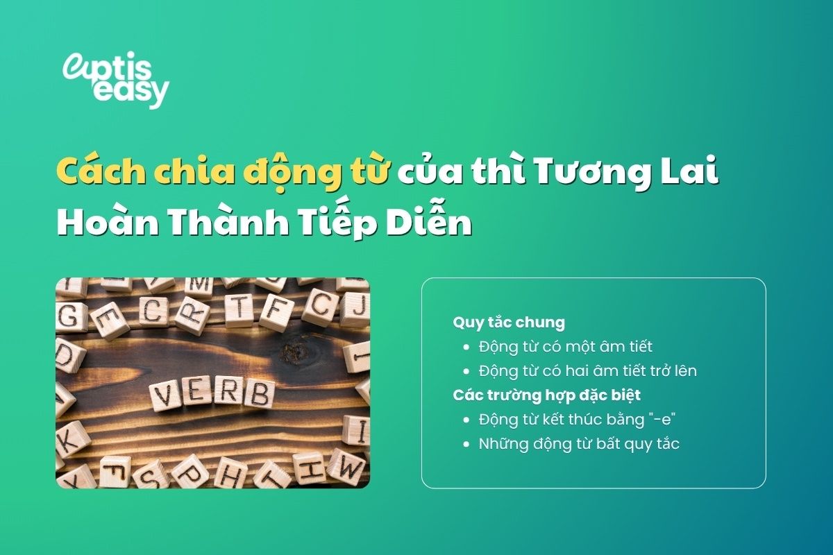 Cách chia động từ thì tương lai hoàn thành tiếp diễn