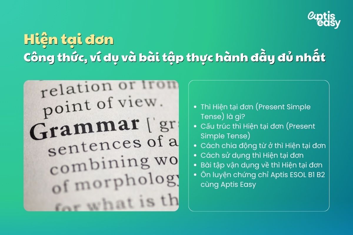 Hiện tại đơn: Công thức, ví dụ và bài tập thực hành đầy đủ nhất
